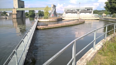 Fischeinstieg Mainz-Kostheim