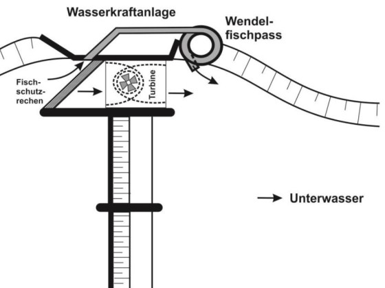 SKizze zur Anordnung WFP